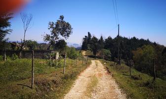 Foto de inmueble en Terreno Rustico , con Vistas Increíbles de Xalapa y Coatepec. Rodeado  de Parajes Verdes , Tiene Agu, Col. Cuauhtemoc C.P. 91611, Coatepec