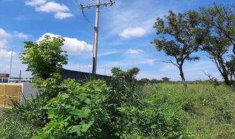 Foto de inmueble en Carretera Santa Fe-Paso del Toro #Parcela 13Int. Fracc A , Col. El Cedral C.P. 94275, Medellín de Bravo