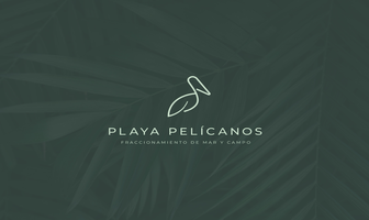 Foto de inmueble en PLAYA PELICANOS, Col. El Martillo C.P. 95263, Alvarado