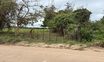 Foto de inmueble en Isla Juan a Ramirez, Col. El Mirador C.P. 92094, Ozuluama de Mascareñas