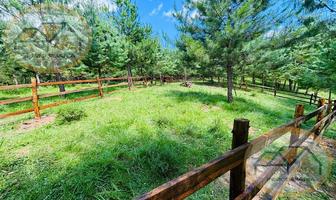 Foto de inmueble en Terreno en Venta Carretera Perote Xalapa (bosque Ciclo Verde), Col. El Pedregal C.P. 91275, Perote