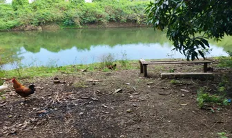 Foto de inmueble en Hilario jacome #100, Col. El Tejar C.P. 94273, Medellín de Bravo
