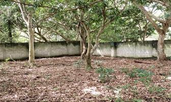 Foto de inmueble en Carretera el Zapote Mata Uva #100, Col. El Zapote C.P. 95263, Alvarado