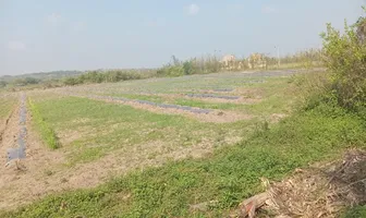 Foto de inmueble en MATA DE UVA #000, Col. El Zapote C.P. 95263, Alvarado