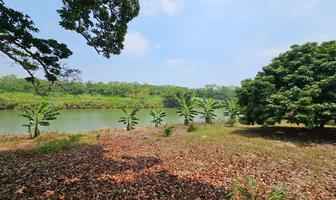 Foto de inmueble en Molino de viento, Col. Frijolillo C.P. 92770, Tuxpan