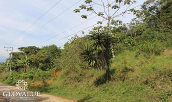 Foto de inmueble en Terreno EN Venta, SAN Marcos DE León, Col. Hernández Ochoa C.P. 91583, Coatepec
