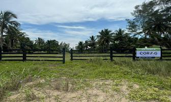 Foto de inmueble en Terreno EN Venta Frente A Playa EN Tuxpan, Veracruz (barra Galindo), Col. La Barra C.P. 92773, Tuxpan
