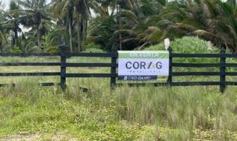 Foto de inmueble en Terreno EN Venta Playa Barra Galindo, Tuxpan, Veracruz, Col. La Barra C.P. 92773, Tuxpan