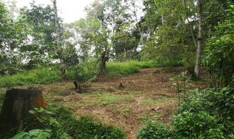 Foto de inmueble en Hermoso Terreno Dentro DE Fraccionamiento EN Coatepec, Col. La Gachupina C.P. 91520, Coatepec