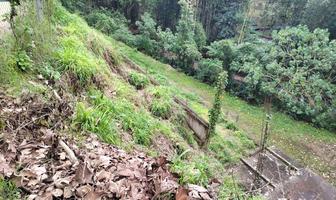 Foto de inmueble en Camino A LA Calera, Congregacion Plan DE LA Cruz, Coatepec., Col. La Pitahaya (Congregación Zoncuantla) C.P. 91612, Coatepec