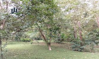 Foto de inmueble en , Col. La Pitaya C.P. 91517, Coatepec