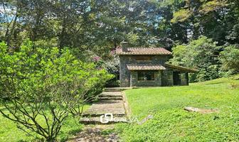 Foto de inmueble en La Pitaya, Col. La Pitaya C.P. 91517, Coatepec