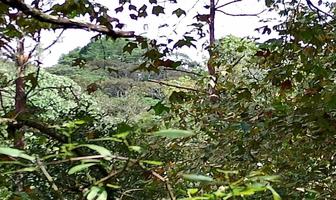 Foto de inmueble en PREDIO RUSTICO, Col. La Pitaya C.P. 91517, Coatepec