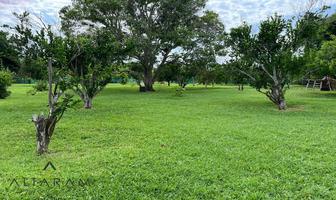 Foto de inmueble en A LA Venta Terreno  EN Tampico Alto Veracruz, Col. La Rivera C.P. 92043, Tampico Alto