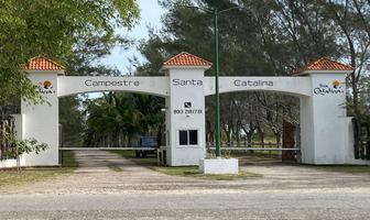 Foto de inmueble en Antigua , Brecha Huasteca #000, Col. La Rivera C.P. 92043, Tampico Alto