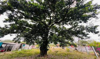 Foto de inmueble en Loc. La Laguna, Col. Las Bajadas C.P. 91726, Veracruz