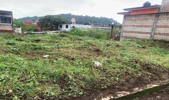 Foto de inmueble en Hermoso y Amplio Terreno en Fracc Lomas de Los Angeles en Coatepec, Ver., Col. Los Carriles C.P. 91539, Coatepec