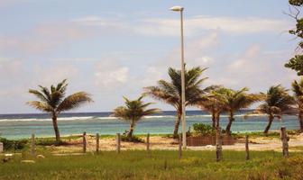 Foto de inmueble en Lote en Mahahual 15500 Pies Cuadrados., Col. Majahual C.P. 92597, Tamiahua
