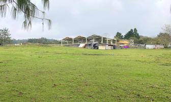 Foto de inmueble en Terreno de 5,553.71m2 en Venta en Mazatepec, Ver.  Mpio. de Acajete, Col. Mazatepec C.P. 91320, Acajete