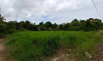 Foto de inmueble en Terreno en Venta, Col. Miramar, Tampico Alto., Col. Miramar C.P. 92053, Tampico Alto