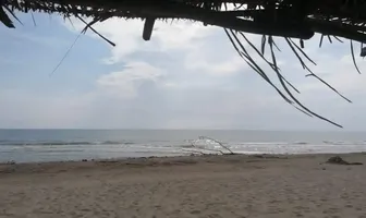 Foto de inmueble en KM 83 VERACRUZ POZA RICA #2, Col. Monte Gordo C.P. 93588, Tecolutla