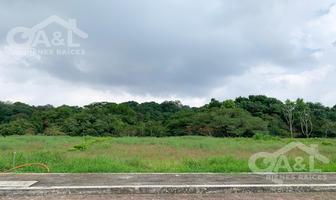 Foto de inmueble en Terreno en Venta  Fraccionamiento Nuevo Coapexpan, Col. Nuevo Coapexpan C.P. 91073, Xalapa