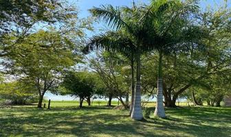 Foto de inmueble en , Col. Nuevo Sol C.P. 92770, Tuxpan