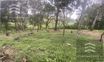 Foto de inmueble en Pacho Veracruz, Col. Pacho Viejo C.P. 91602, Coatepec