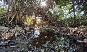 Foto de inmueble en Terreno con Aguas Termales en Venta en Los Baños Veracruz, Col. Palmas de Abajo C.P. 91495, Actopan