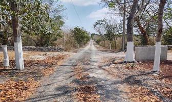 Foto de inmueble en Loc. Palo Gacho, Col. Palo Gacho C.P. 91633, Emiliano Zapata