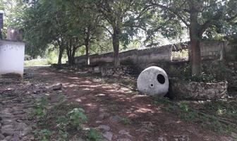 Foto de inmueble en Carretera Paso de Oveja, Col. Paso de Ovejas Centro C.P. 91670, Paso de Ovejas