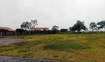 Foto de inmueble en , Col. Paso de San Lorenzo C.P. 92592, Tamiahua