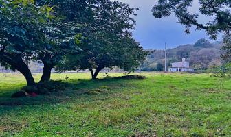 Foto de inmueble en Terreno en Venta en Jilotepec Veracruz Piedra de Agua Tlacolulan, Col. Piedra de Agua C.P. 91390, Jilotepec