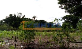Foto de inmueble en Sin nombre de calle, Col. Pital Mozutla C.P. 93525, Papantla