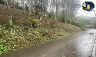 Foto de inmueble en Terreno con Todos los Servicios Cerca de Briones, Col. Plan de la Cruz C.P. 91612, Coatepec