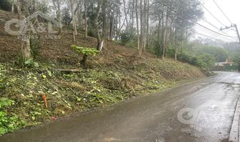 Foto de inmueble en Terreno en Venta Zona Bosque Briones, Col. Plan de la Cruz C.P. 91612, Coatepec