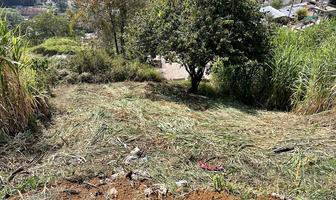 Foto de inmueble en Terreno en Venta en Xalapa Veracruz Zona San Bruno., Col. Presa de San Bruno C.P. 91023, Xalapa