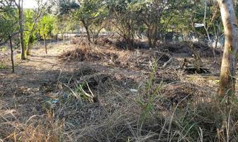 Foto de inmueble en (dmtv2304) Terreno EN Venta Pueblo Viejo, Veracruz., Col. Primero de Mayo C.P. 92039, Pueblo Viejo