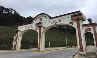 Foto de inmueble en , Col. Rafael Lucio C.P. 91110, Xalapa