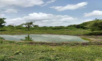 Foto de inmueble en Terreno Rancho Tamiahua Veracruz, Col. Tamiahua C.P. 92560, Tamiahua