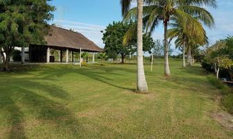 Foto de inmueble en Terreno en Venta  Tampico Alto Veracruz, Col. Tampico Alto Centro C.P. 92050, Tampico Alto