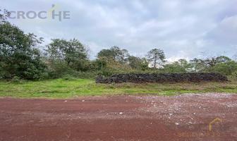 Foto de inmueble en Terreno Campestre EN Venta Zona SAN Jose Tlacolulan, Veracruz, Col. Tlacolulan C.P. 91350, Tlacolulan