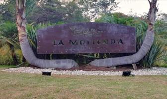 Foto de inmueble en , Col. Tres Pasos C.P. 91643, Emiliano Zapata