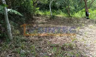 Foto de inmueble en CAMINO REAL A TALAXCA, Col. Unidad Deportiva C.P. 93418, Papantla