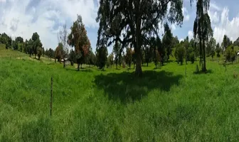 Foto de inmueble en Éfren Nava Z #1, Col. Xico C.P. 91240, Xico