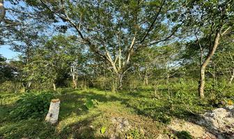 Foto de inmueble en Prol. Vicente Guerrero, Col. Xico C.P. 91240, Xico