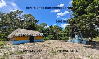 Foto de inmueble en , Col. Adolfo Lopez Mateos C.P. 97703, Tizimín