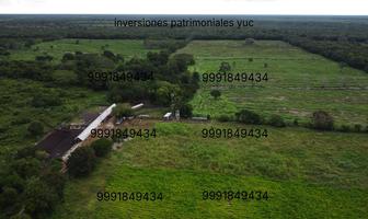 Foto de inmueble en , Col. Adolfo Lopez Mateos C.P. 97703, Tizimín