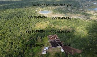 Foto de inmueble en , Col. Adolfo Lopez Mateos C.P. 97703, Tizimín