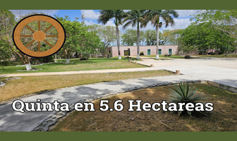 Foto de inmueble en No data E, Col. Baca C.P. 97450, Baca